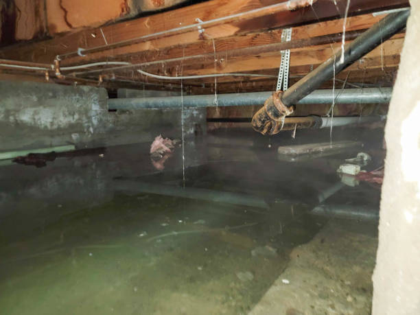 Best Commercial water damage restoration  in American Fork, UT