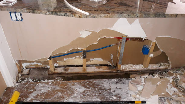 Best Water damage cleanup near me  in American Fork, UT
