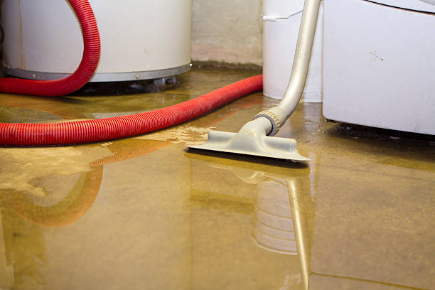 Best Flood damage cleanup  in American Fork, UT