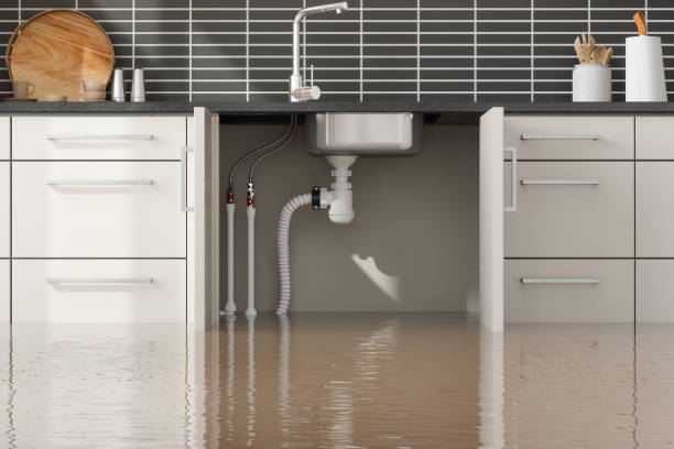 Best Basement water damage restoration  in American Fork, UT