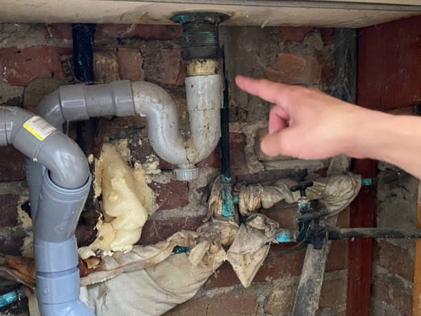 Best 24-hour water damage restoration  in American Fork, UT