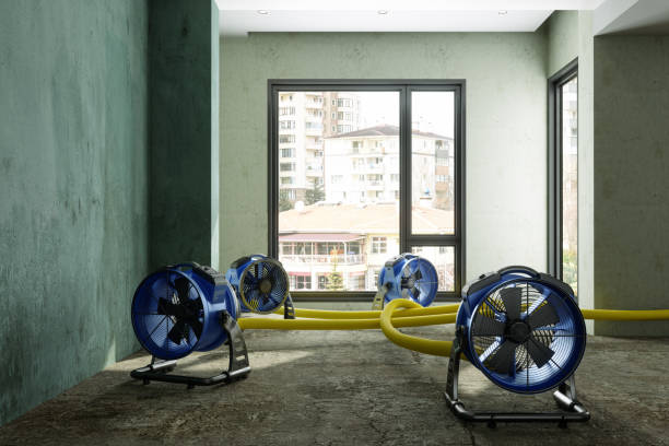 Best Emergency water damage restoration  in American Fork, UT